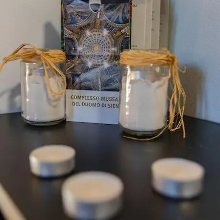 Porta Pispini Appartamento Siena